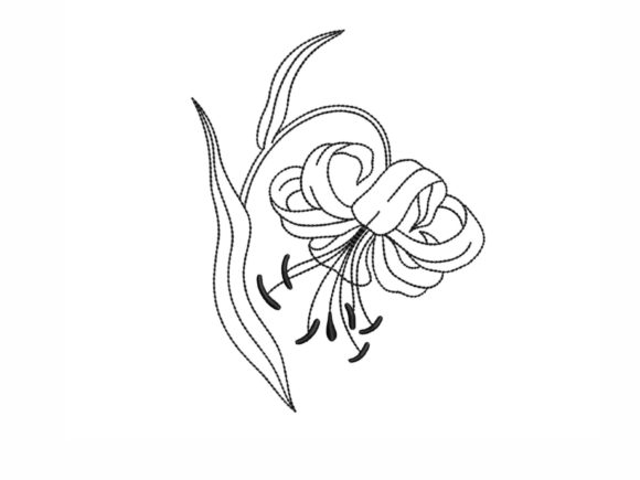 Lily Outline: A Delicate Review for Personalized Gifts